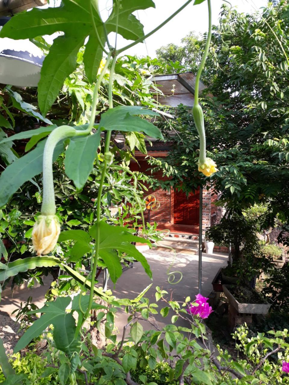 נין בין An Phu Homestay מראה חיצוני תמונה