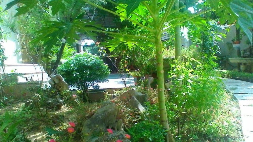 נין בין An Phu Homestay מראה חיצוני תמונה